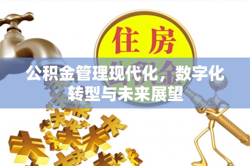 惠济公积金管理现代化，数字化转型与未来展望