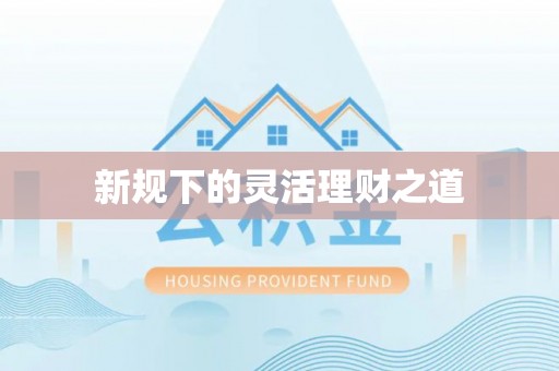 惠济新规下的灵活理财之道