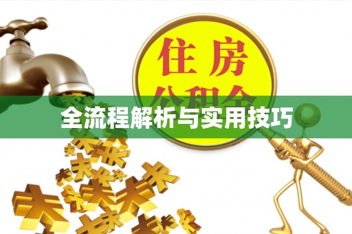 惠济全流程解析与实用技巧