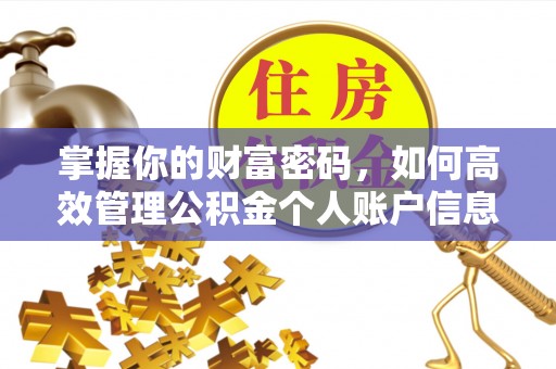 惠济掌握你的财富密码，如何高效管理公积金个人账户信息