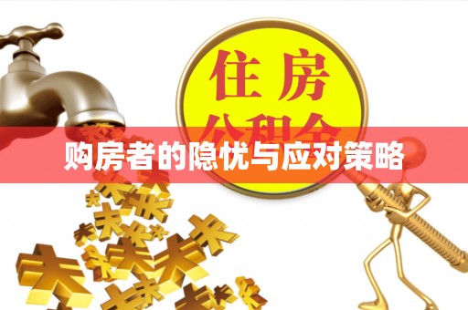 惠济购房者的隐忧与应对策略