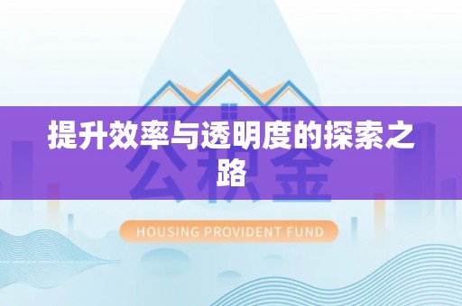 惠济提升效率与透明度的探索之路