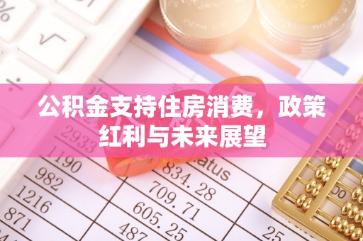 惠济公积金支持住房消费，政策红利与未来展望