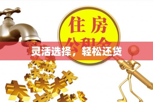 惠济灵活选择，轻松还贷