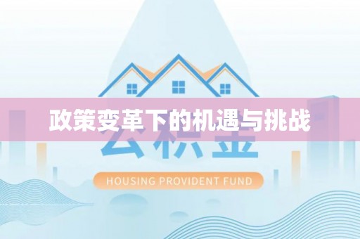 惠济政策变革下的机遇与挑战