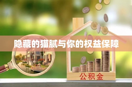 惠济隐藏的猫腻与你的权益保障