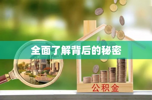 惠济全面了解背后的秘密