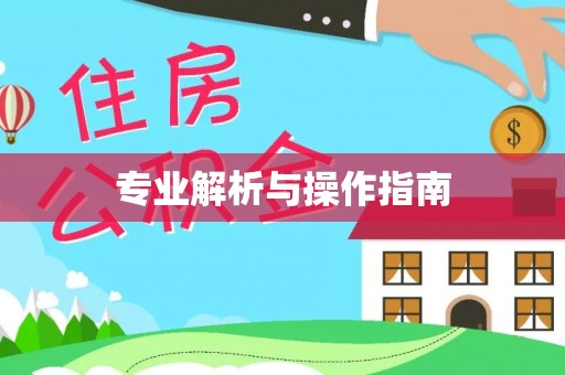 惠济专业解析与操作指南
