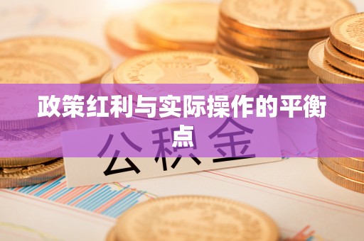 惠济政策红利与实际操作的平衡点