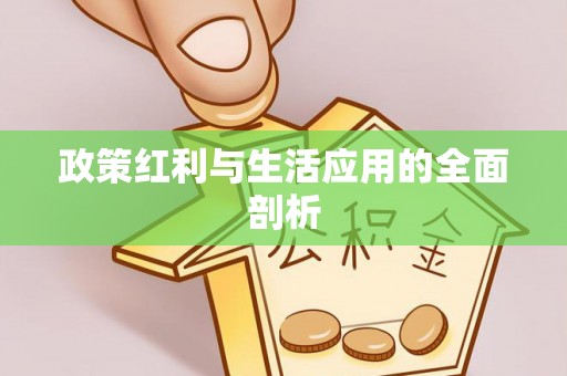 惠济政策红利与生活应用的全面剖析