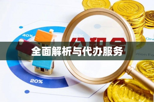 惠济全面解析与代办服务