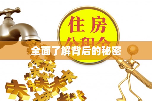 惠济全面了解背后的秘密