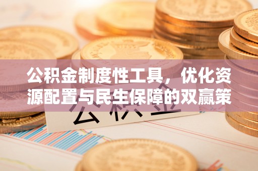 惠济公积金制度性工具，优化资源配置与民生保障的双赢策略