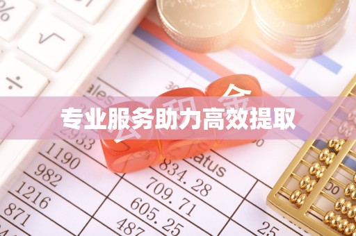 惠济专业服务助力高效提取