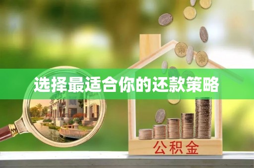 惠济选择最适合你的还款策略