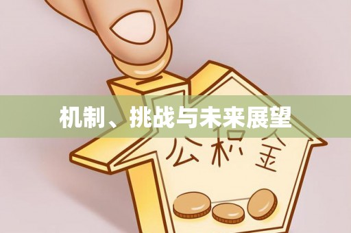 惠济机制、挑战与未来展望