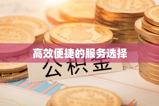 惠济高效便捷的服务选择