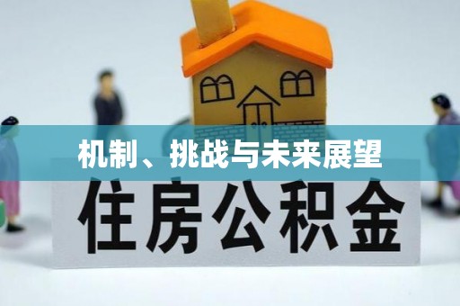 惠济机制、挑战与未来展望